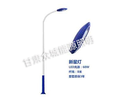 大通爆款市电路灯 大通爆款市电路灯